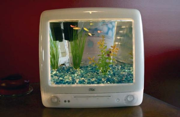 fish_tanks_made_from_imacs_gqn9j.jpg