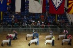 farm-show-standardjpg-962825b3b28cd6ee