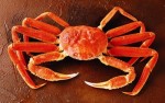 Snow crab - ASMI
