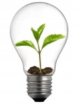 eco-friendly-decorating-budget-wise-home-1200x1600