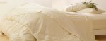 orgaincbedding