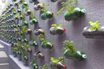 recycled-bottle-garden-1
