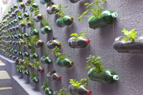 recycled-bottle-garden-1