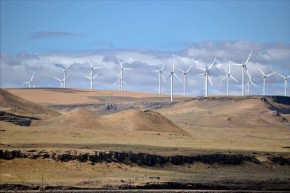 Shepherds_Flat_Wind_Farm_2011