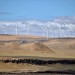 Shepherds_Flat_Wind_Farm_2011