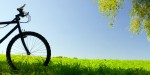 19-oct-blog-eco-tips