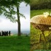 eco-friendly-funerals-and-burials1