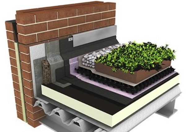 green-roofs-2